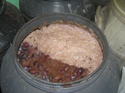 raki